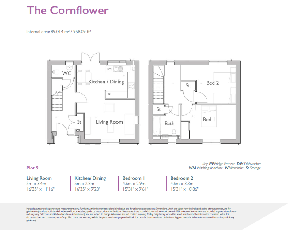 The Cornflower